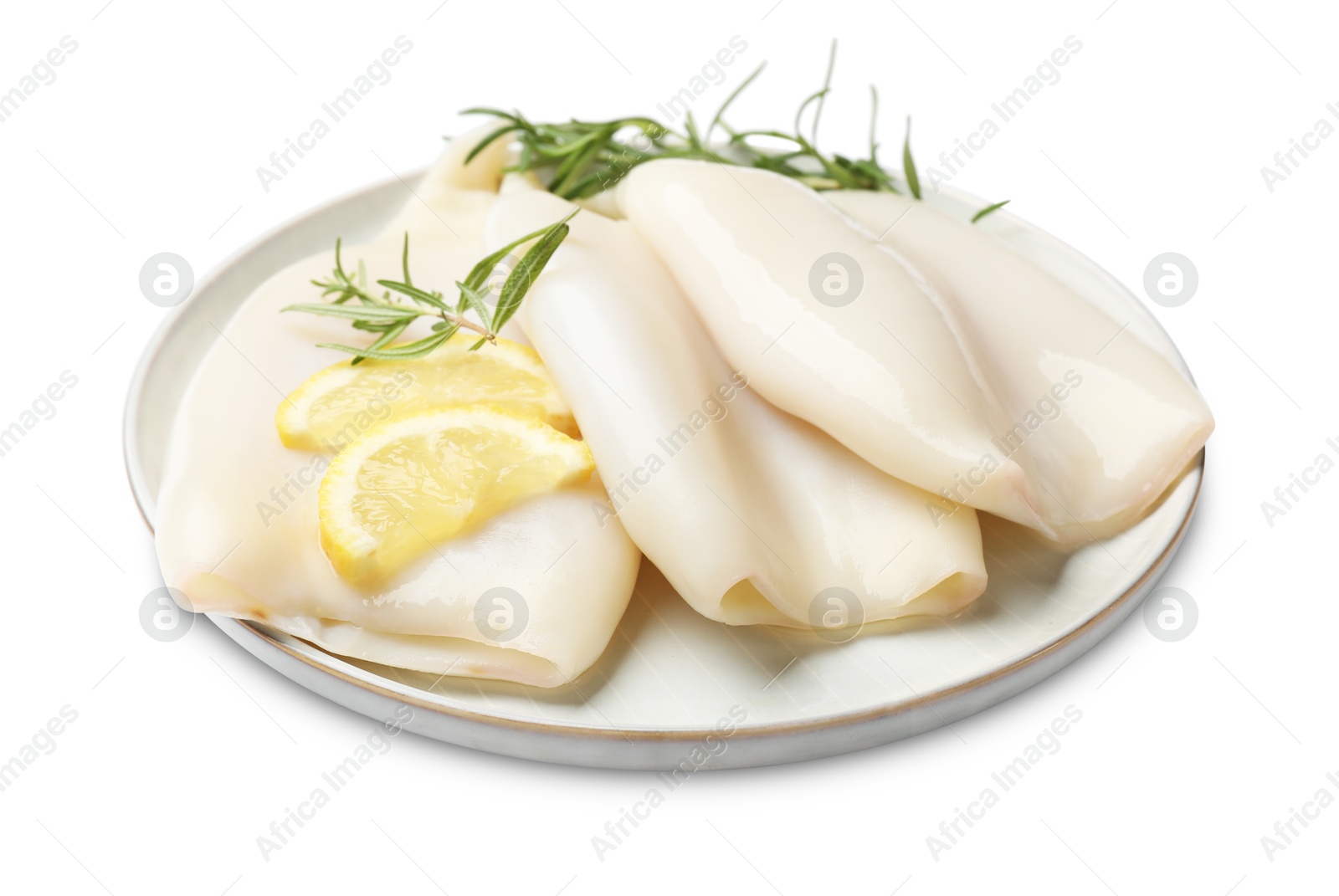 Uncooked squids with rosemary and lemon slices isolated on white Photo of Uncooked squids with rosemary and lemon slices isolated on white