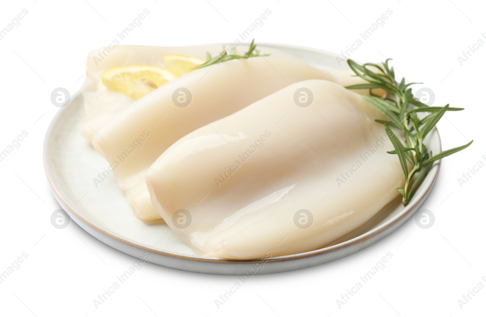 Uncooked squids with rosemary and lemon slices isolated on white Photo of Uncooked squids with rosemary and lemon slices isolated on white