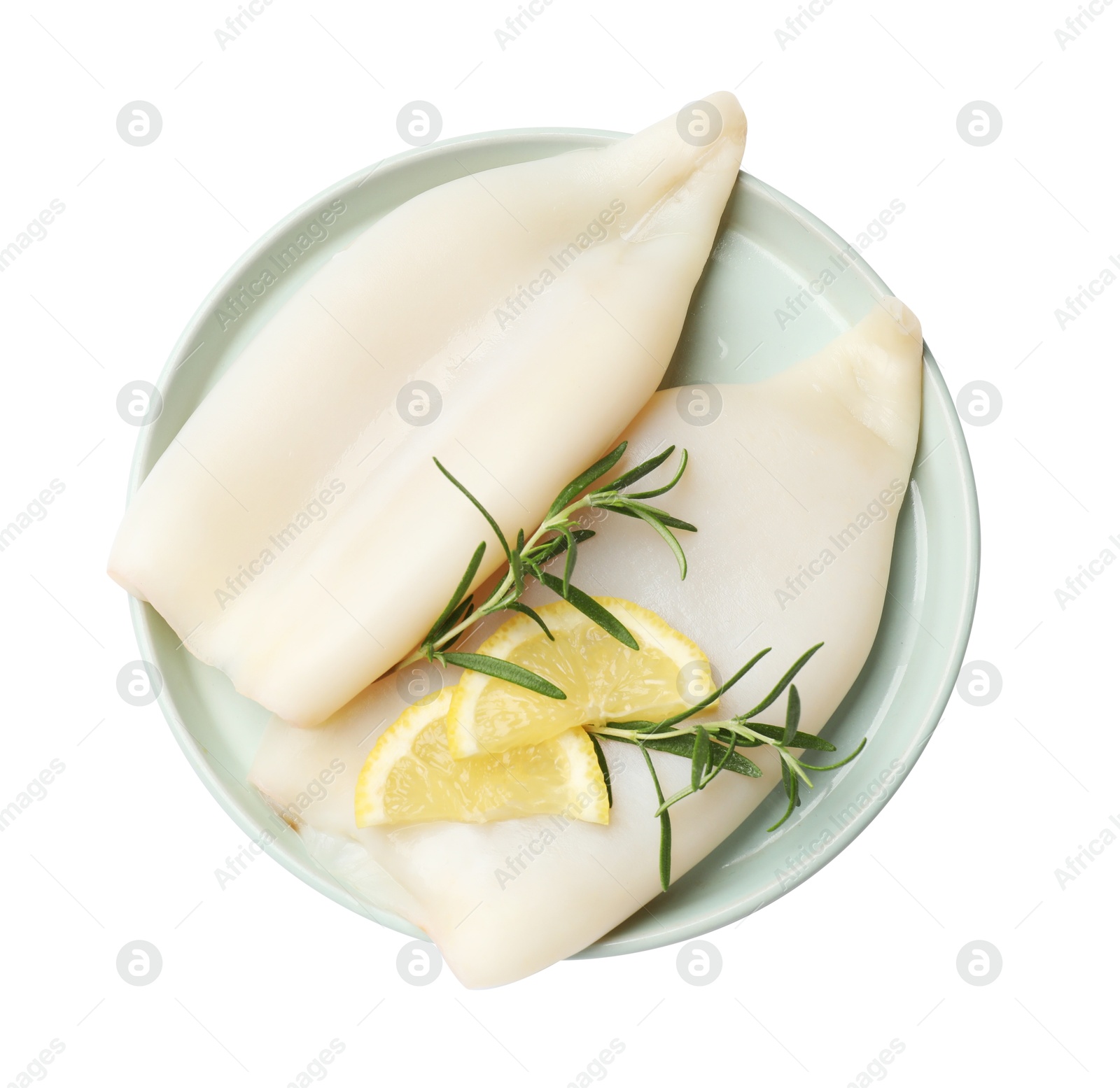 Uncooked squids with rosemary and lemon slices isolated on white, top view Photo of Uncooked squids with rosemary and lemon slices isolated on white, top view
