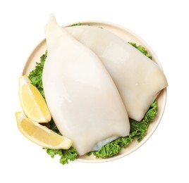 Photo of Uncooked squids with lettuce and lemon slices isolated on white, top view