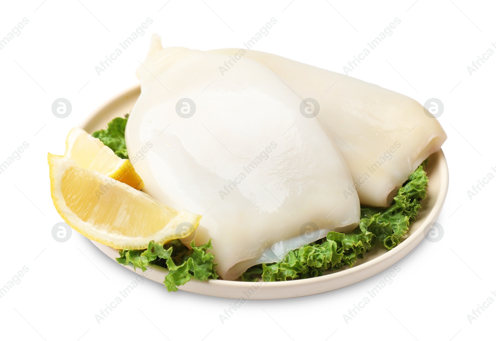 Uncooked squids with lettuce and lemon slices isolated on white Photo of Uncooked squids with lettuce and lemon slices isolated on white