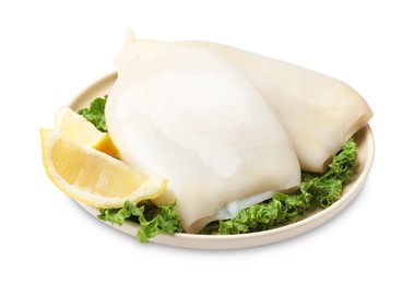 Photo of Uncooked squids with lettuce and lemon slices isolated on white