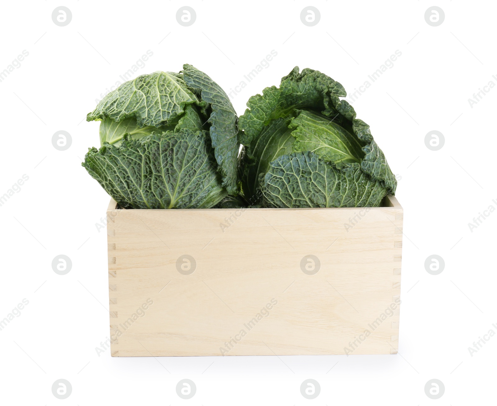 Photo of Fresh Savoy cabbages in wooden crate isolated on white