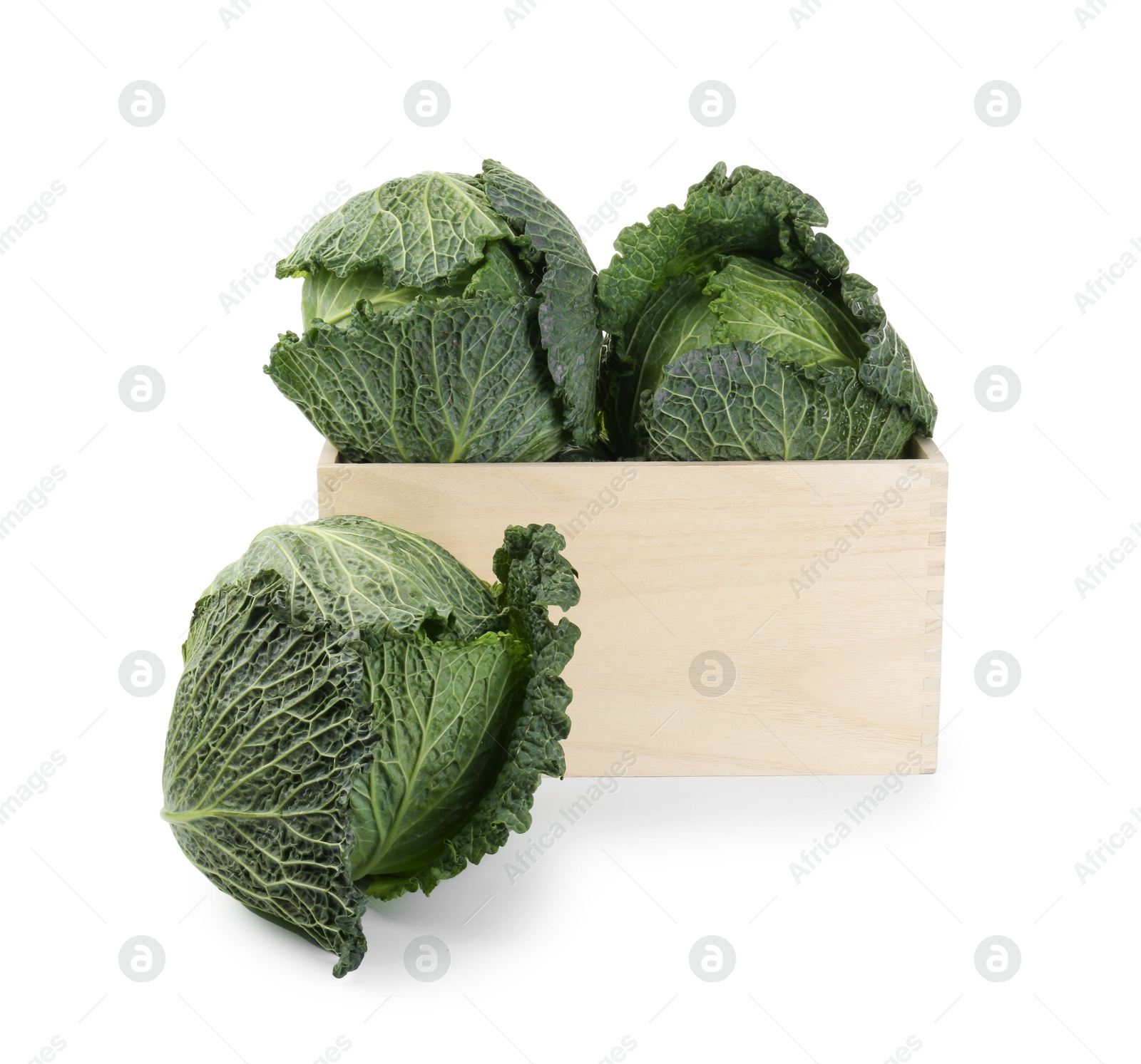 Photo of Fresh Savoy cabbages in wooden crate isolated on white
