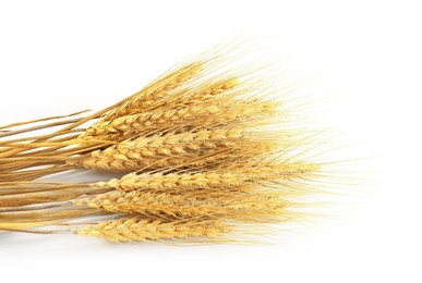 Image of Golden ears of wheat on white background