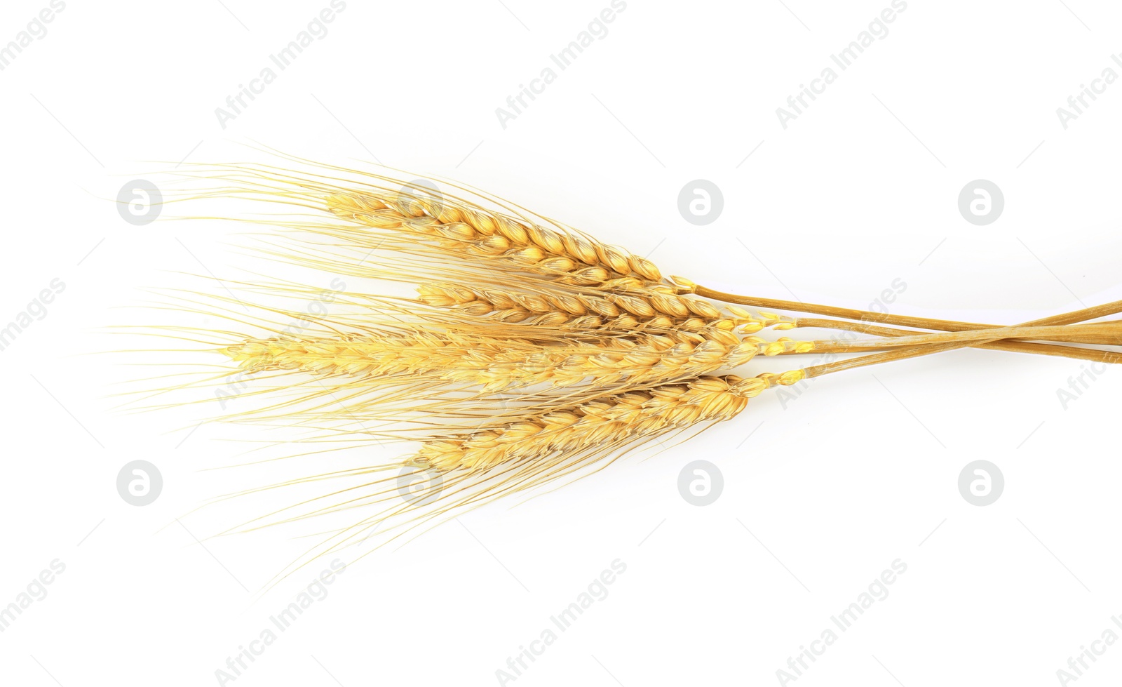 Image of Golden ears of wheat on white background. Top view