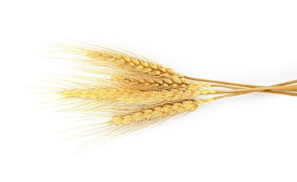 Image of Golden ears of wheat on white background. Top view