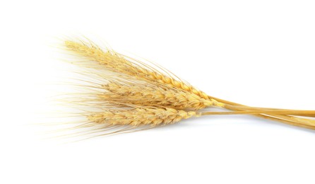 Image of Golden ears of wheat on white background