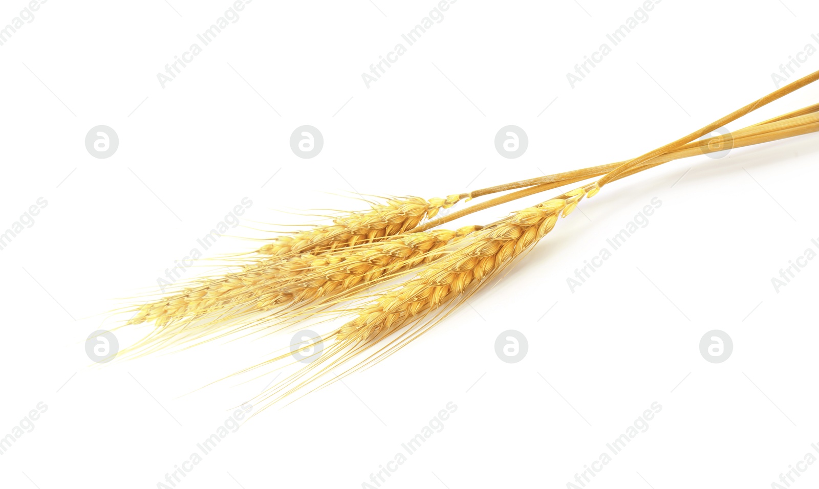 Image of Golden ears of wheat on white background