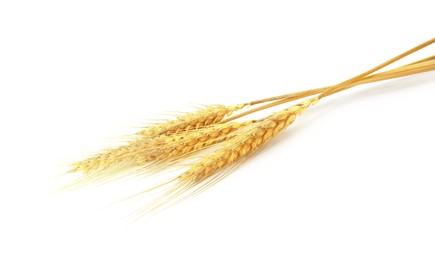 Image of Golden ears of wheat on white background