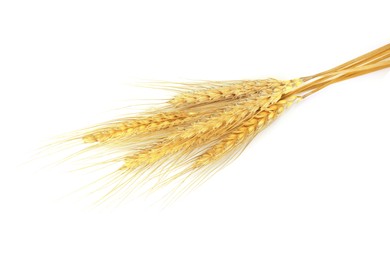 Image of Golden ears of wheat on white background. Top view