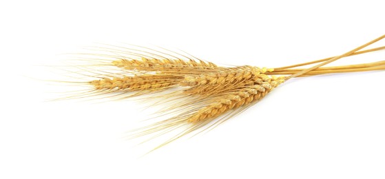 Image of Golden ears of wheat on white background