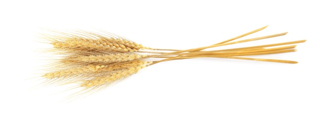 Image of Golden ears of wheat on white background. Top view