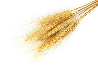 Image of Golden ears of wheat on white background. Top view