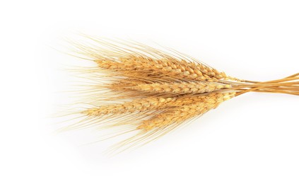 Image of Golden ears of wheat on white background. Top view