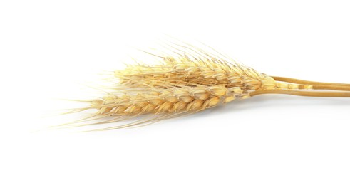 Image of Golden ears of wheat on white background