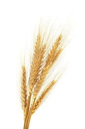 Image of Golden ears of wheat on white background
