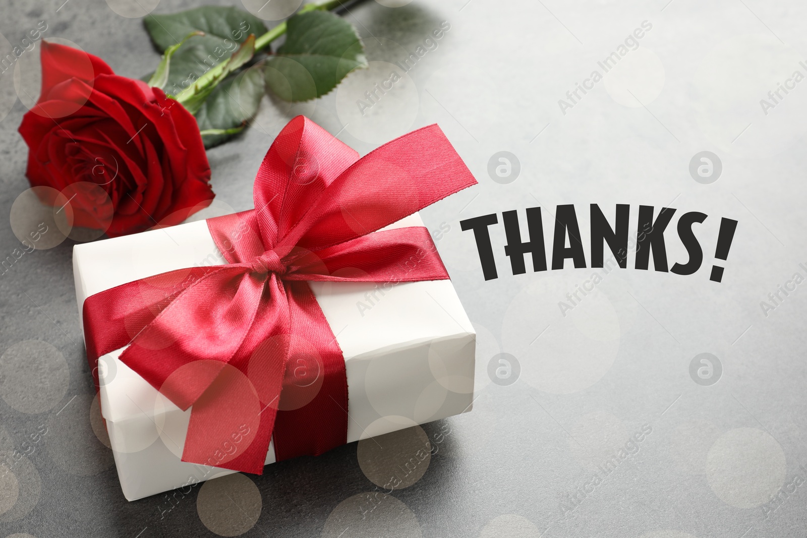 Image of Thank you card design with gift box and rose on grey background, bokeh effect