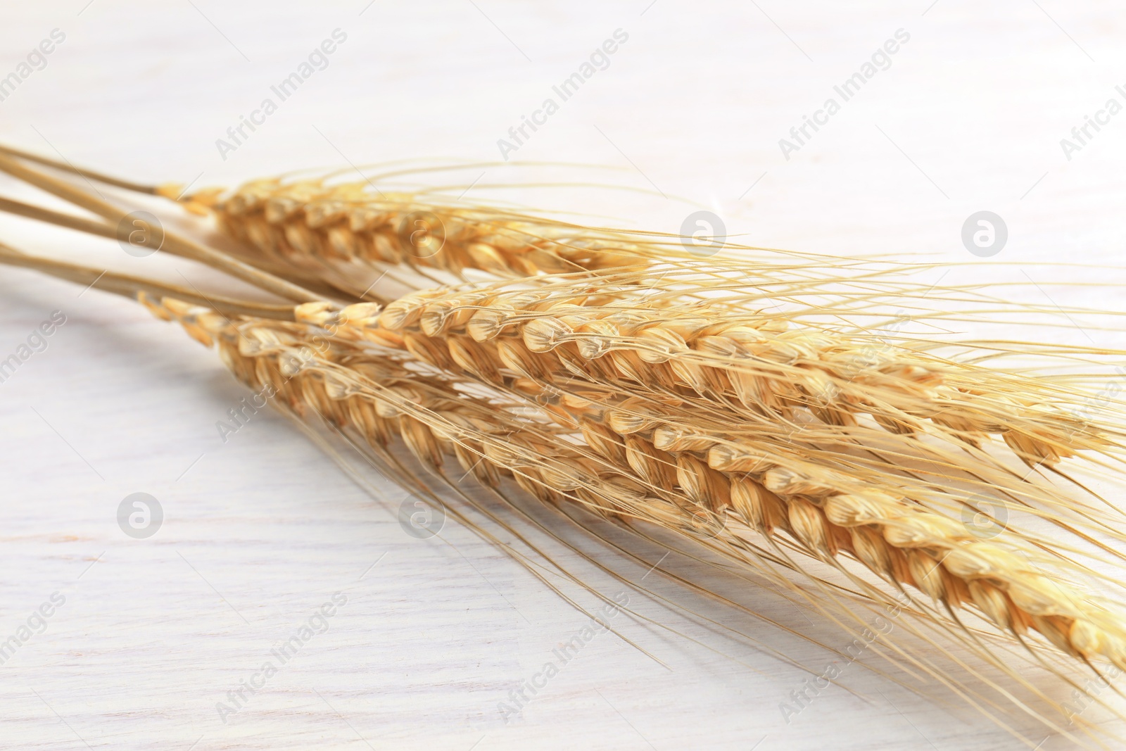 Image of Golden ears of wheat on white wooden table, closeup