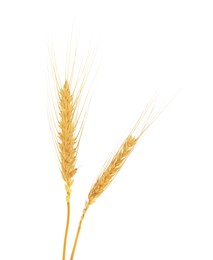 Image of Golden ears of wheat on white background
