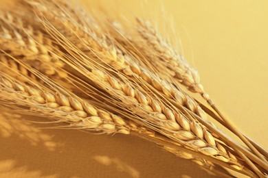Image of Ears of wheat on golden background, closeup