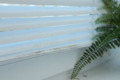 Photo of Window blinds covered with dust indoors, closeup