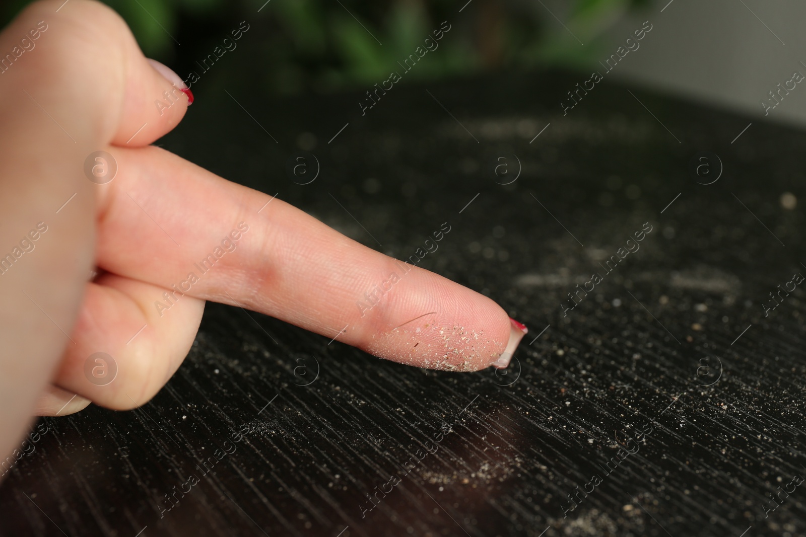 Woman swiping dust from black wooden table, closeup Photo of Woman swiping dust from black wooden table, closeup