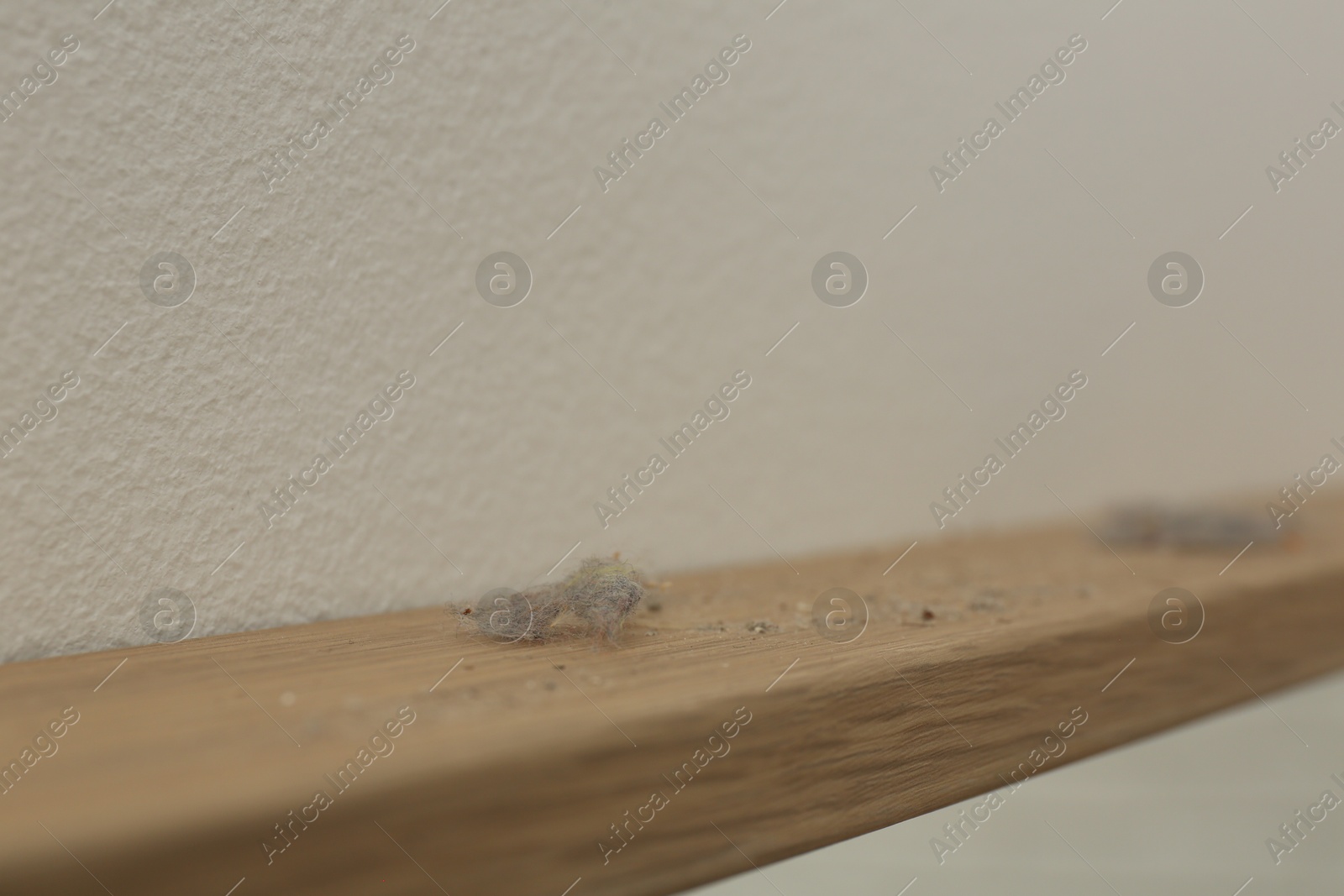 Clumps of dust on wooden surface near light wall, closeup Photo of Clumps of dust on wooden surface near light wall, closeup