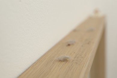 Photo of Clumps of dust on wooden surface near light wall, closeup