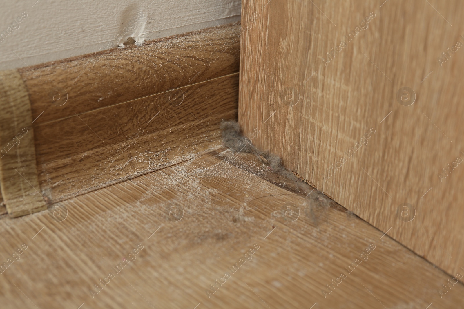 Clumps of dust on wooden floor in corner indoors, closeup Photo of Clumps of dust on wooden floor in corner indoors, closeup