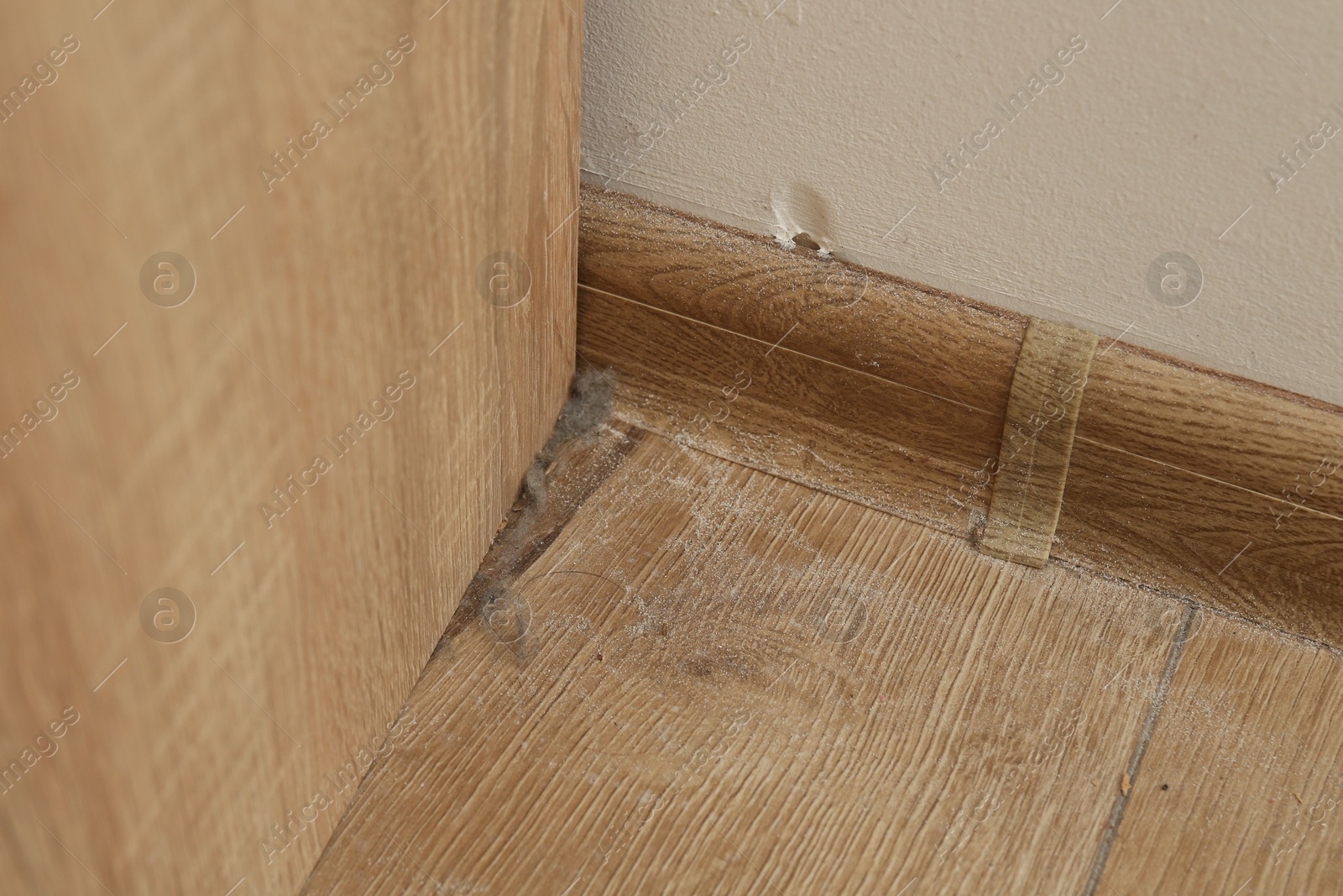 Clumps of dust on wooden floor in corner indoors, above view Photo of Clumps of dust on wooden floor in corner indoors, above view