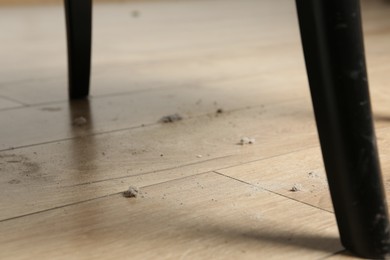 Photo of Clumps of dust on wooden floor indoors, closeup