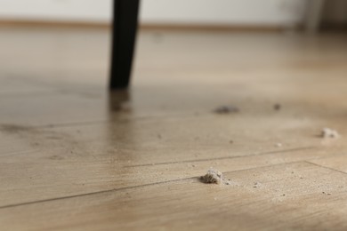 Photo of Clumps of dust on wooden floor indoors, closeup