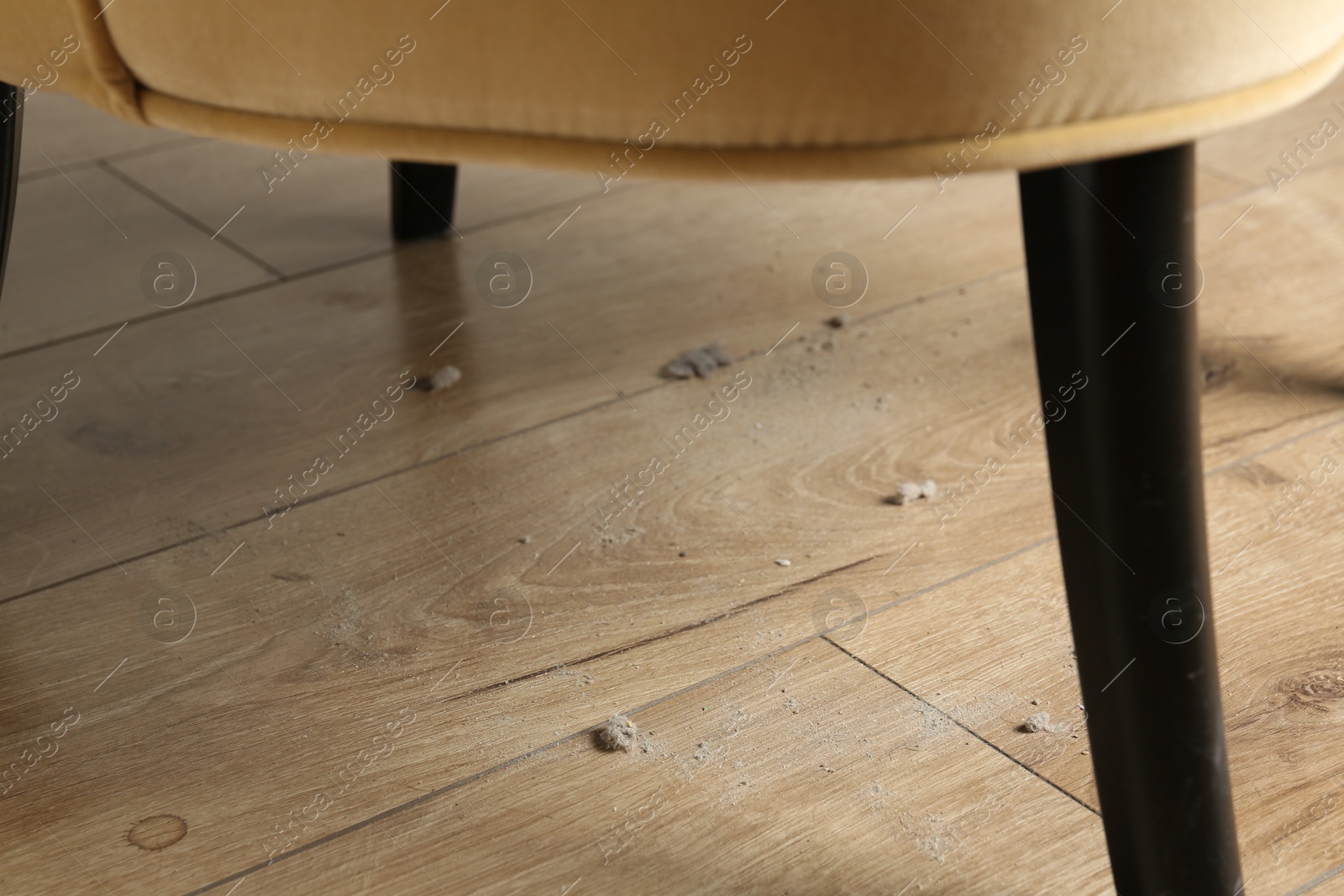 Photo of Clumps of dust on wooden floor indoors