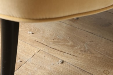 Photo of Clumps of dust on wooden floor indoors, above view