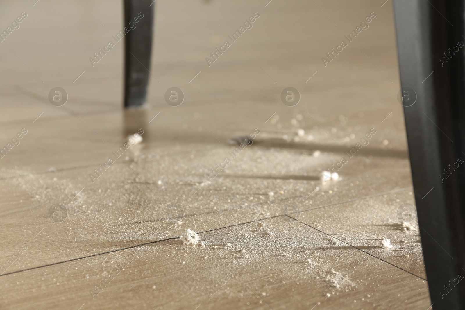 Photo of Clumps of dust on wooden floor indoors, closeup
