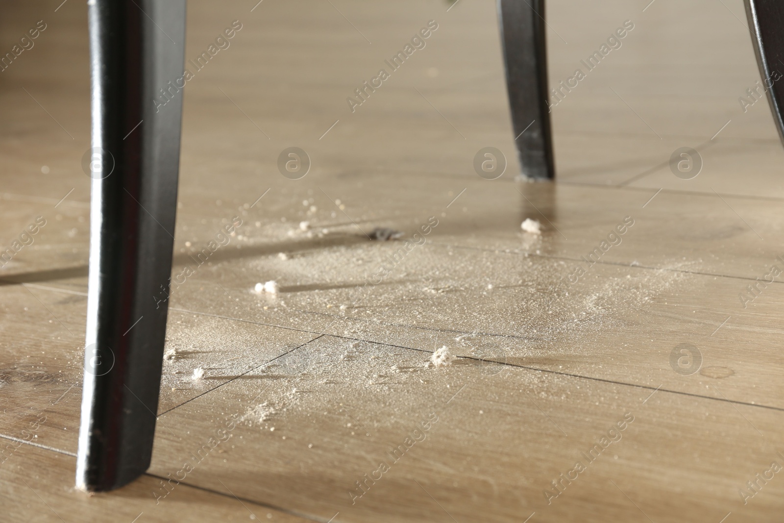 Photo of Clumps of dust on wooden floor indoors