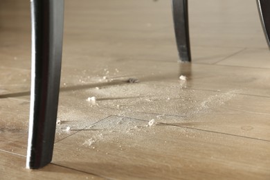 Photo of Clumps of dust on wooden floor indoors
