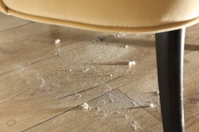 Photo of Clumps of dust on wooden floor indoors
