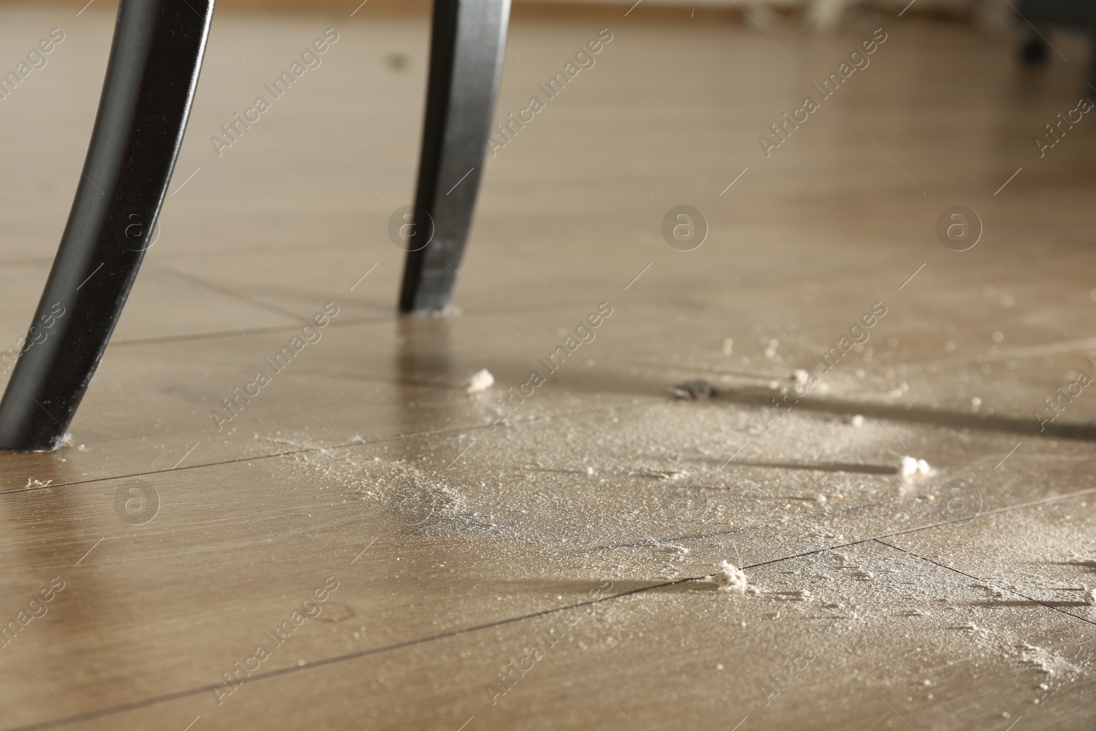 Clumps of dust on wooden floor indoors, closeup Photo of Clumps of dust on wooden floor indoors, closeup