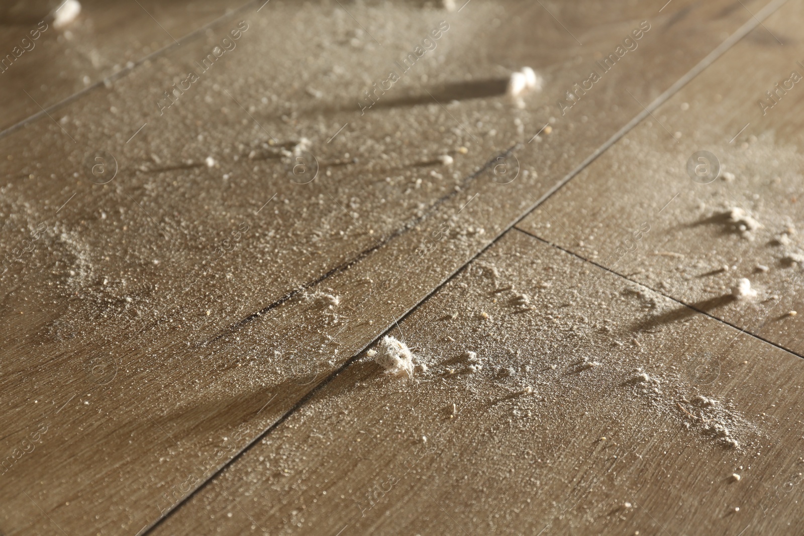 Photo of Clumps of dust on wooden floor indoors, above view