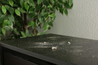 Photo of Black wooden cabinet covered with dust indoors, closeup