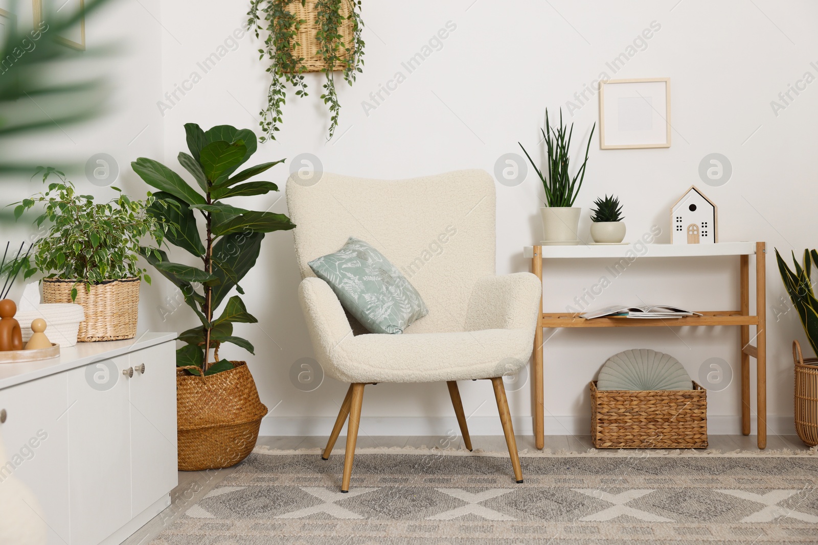 Photo of Stylish armchair with cushion, houseplants and decor in room. Interior design