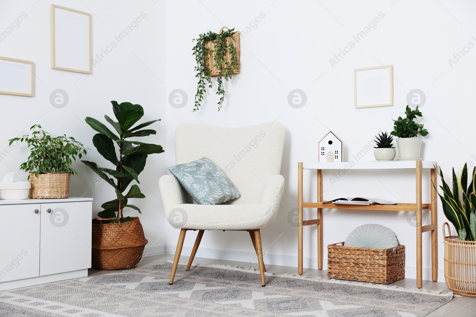 Photo of Stylish armchair with cushion, houseplants and decor in room. Interior design
