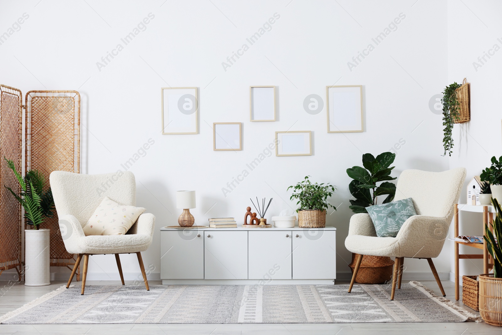 Photo of Stylish armchairs with cushions, cabinet, houseplants and decor in room. Interior design