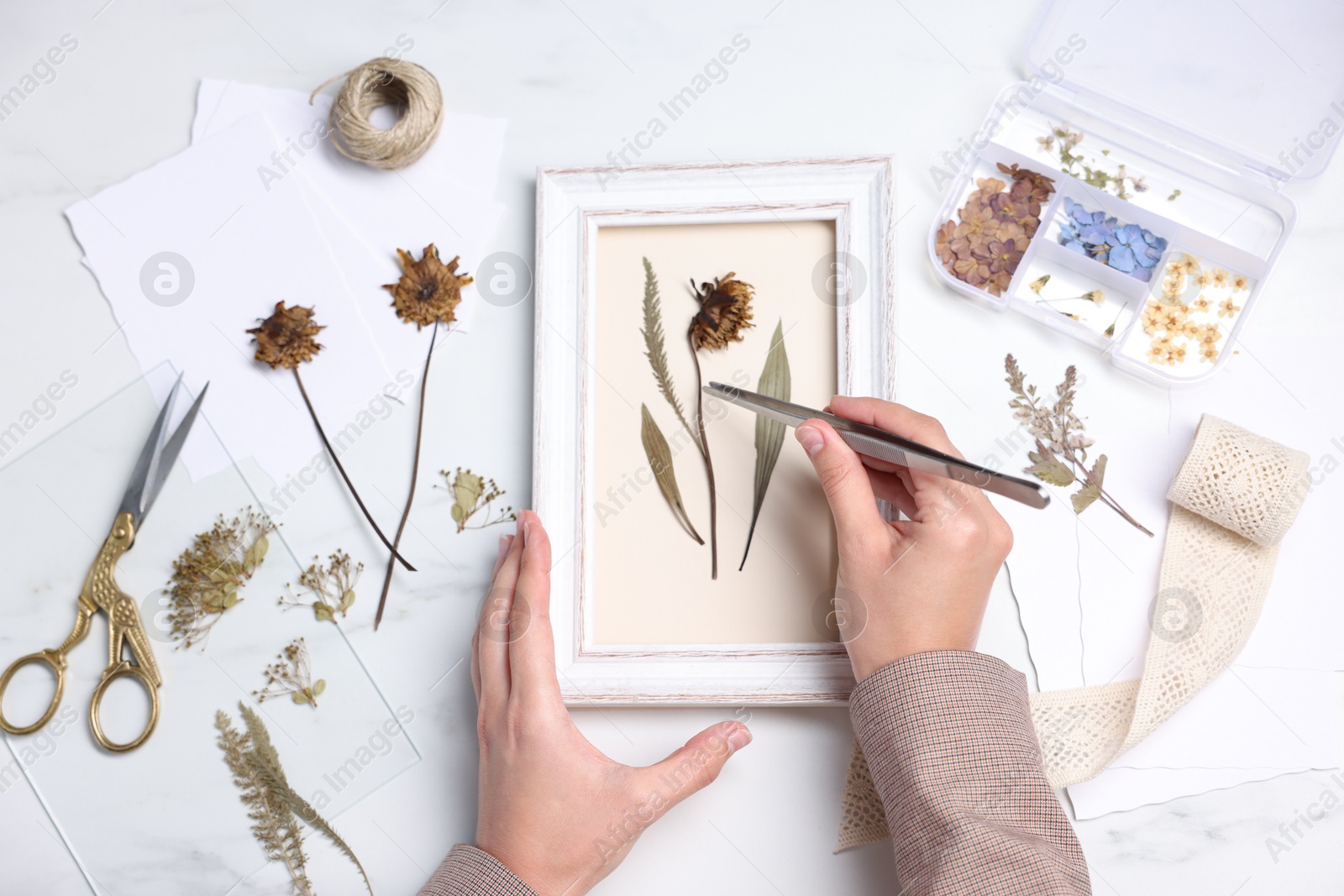 Woman putting dry flowers into picture frame at white marble table, top view Photo of Woman putting dry flowers into picture frame at white marble table, top view
