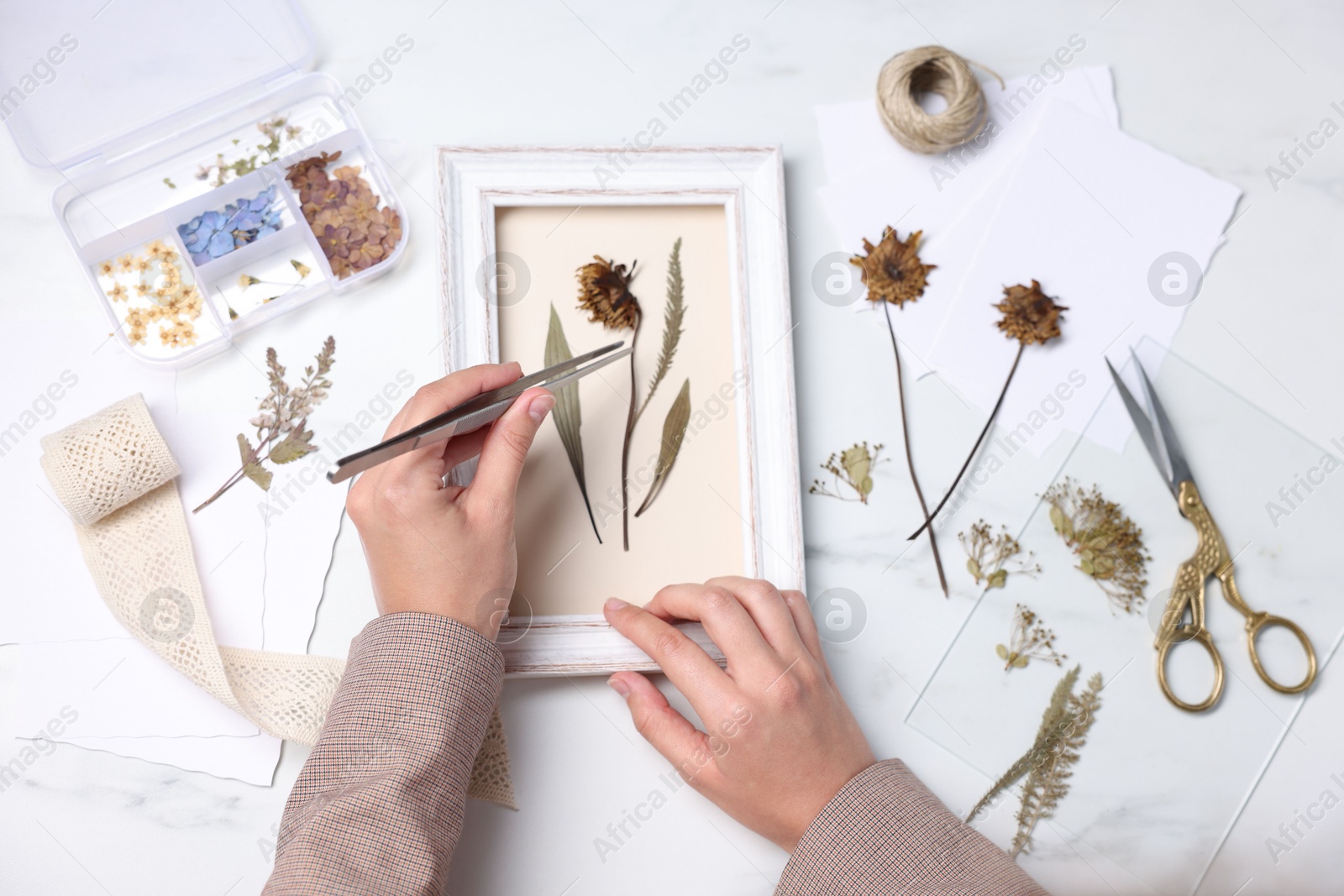 Woman putting dry flowers into picture frame at white marble table, top view Photo of Woman putting dry flowers into picture frame at white marble table, top view