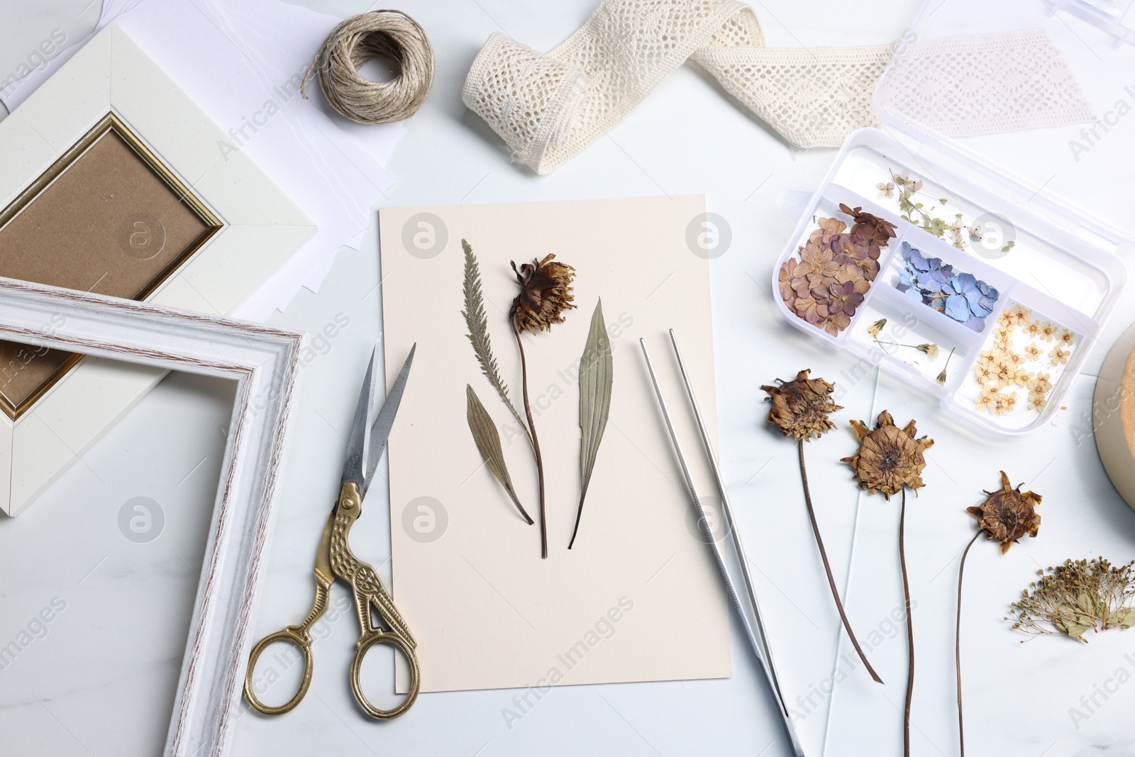 Photo of Flat lay composition with dry flowers and paper on white marble table