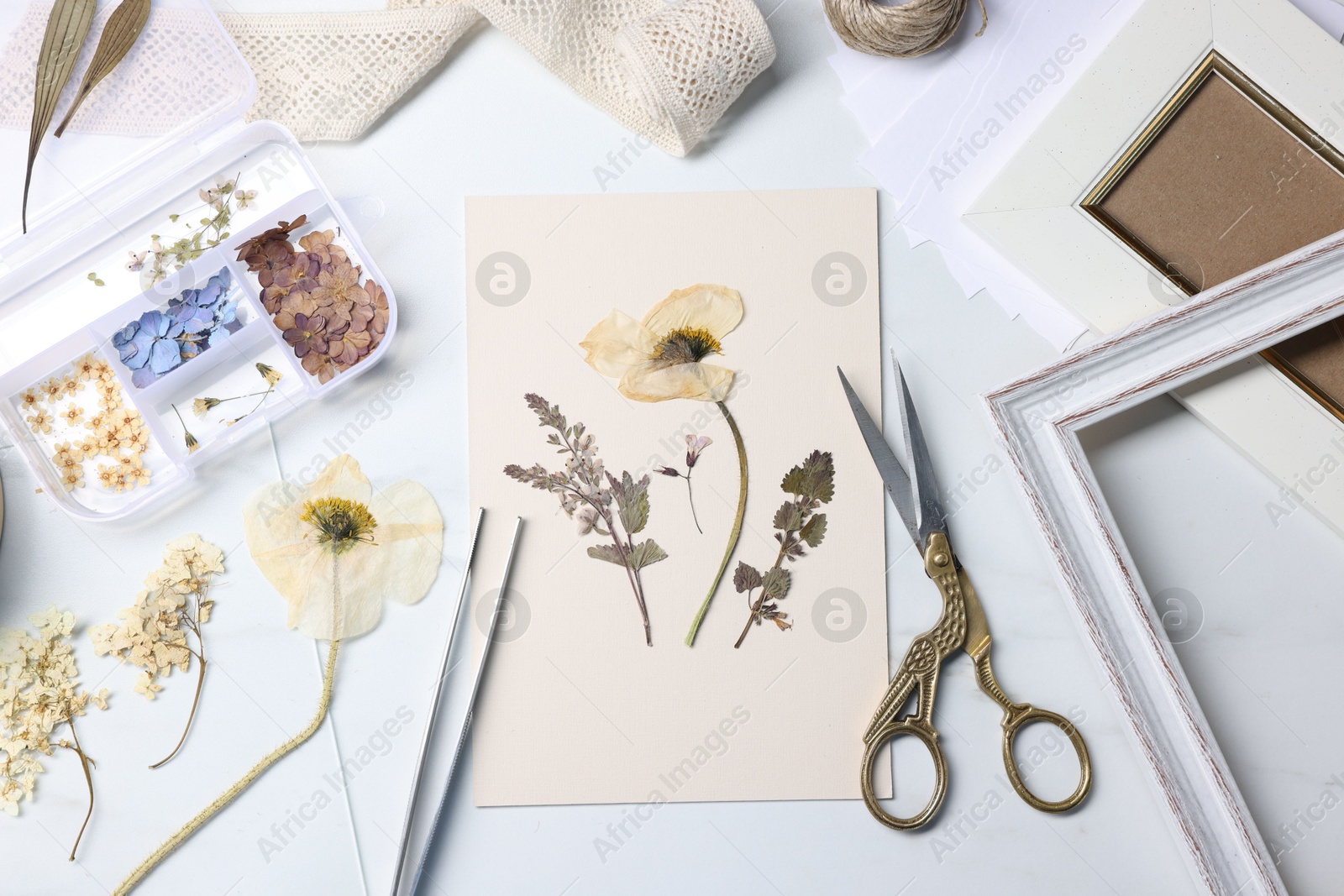 Photo of Flat lay composition with dry flowers and paper on white marble table