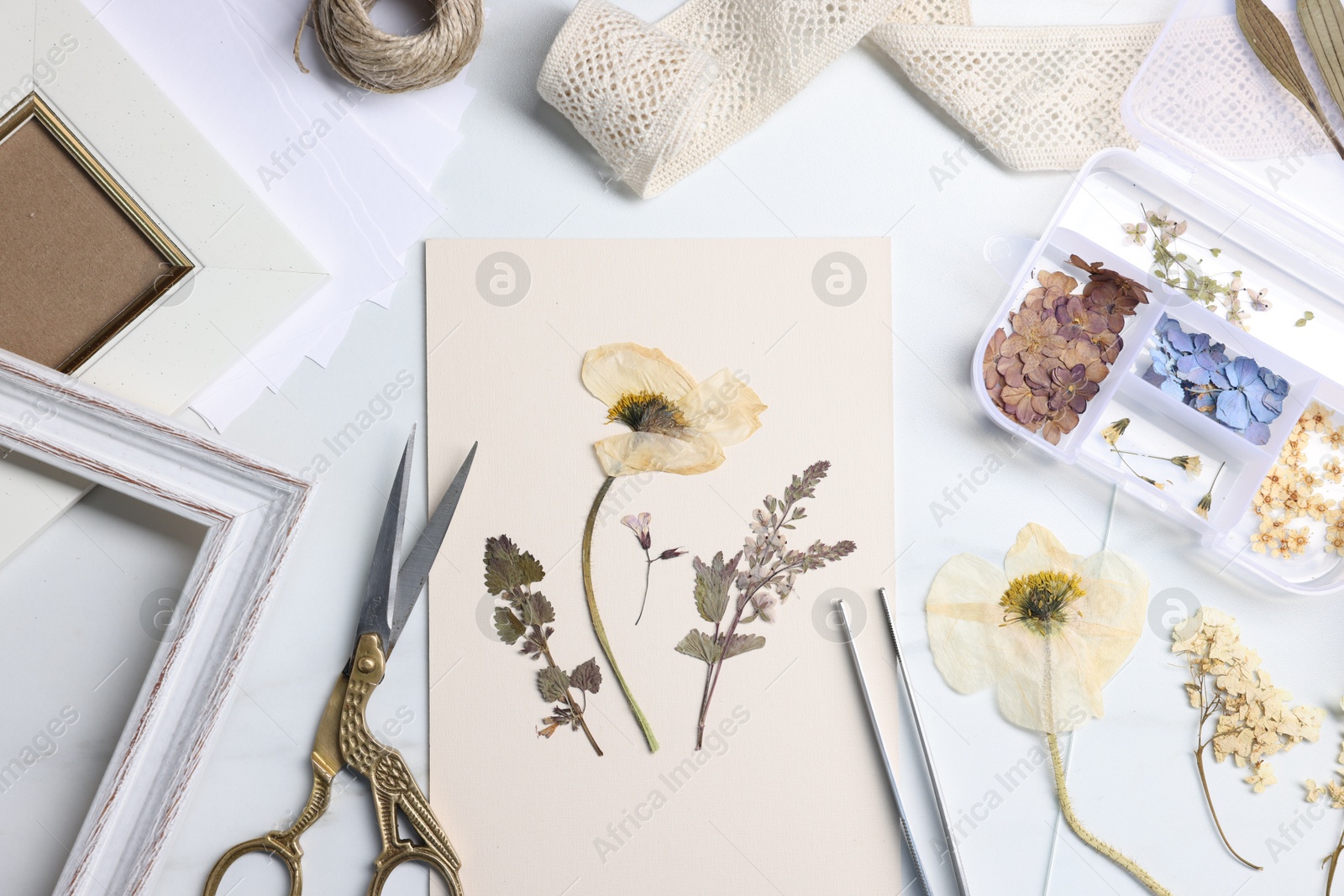 Photo of Flat lay composition with dry flowers and paper on white marble table